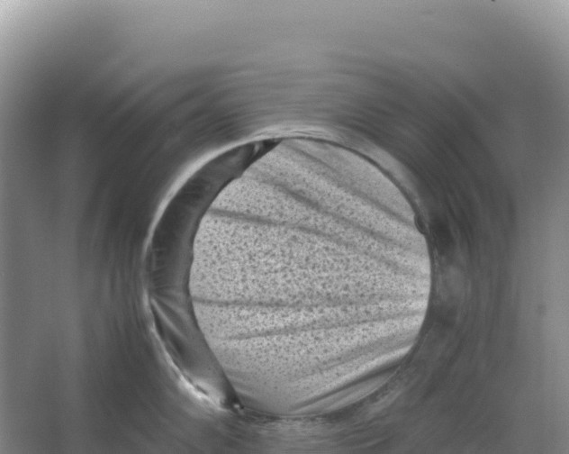 X0000066961102200604142109