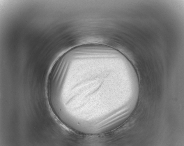 X0000066961104200604142108