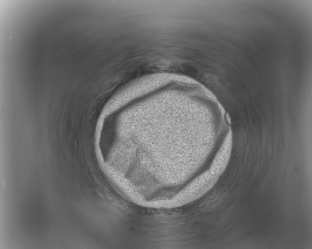 X0000066961105200604142108