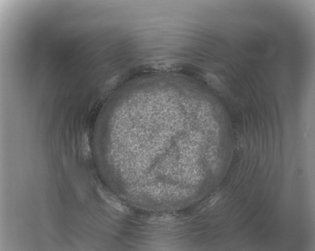 X0000066961106200604142108