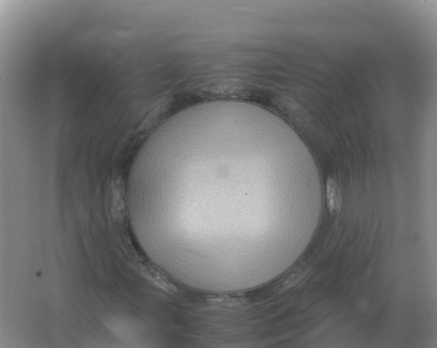 X0000066961107200604142108