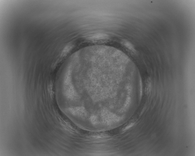 X0000066961108200604142108