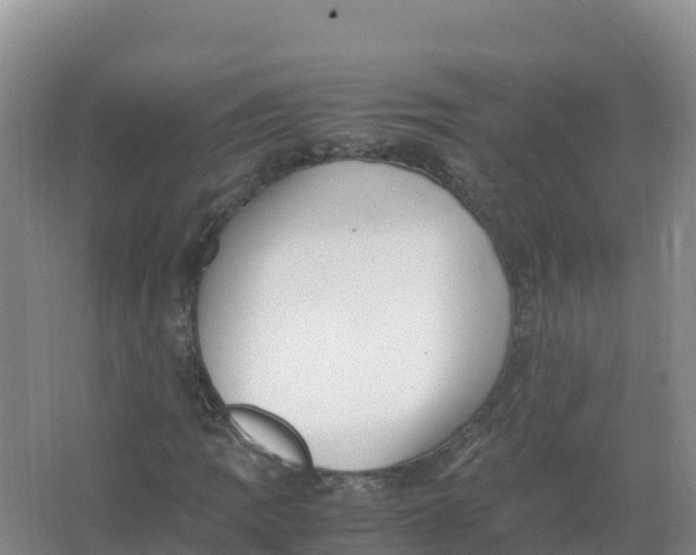 X0000066961109200604142108