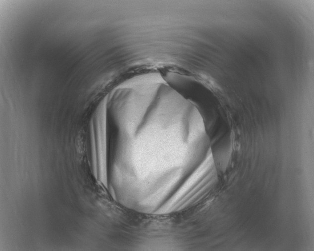 X0000066961110200604142108