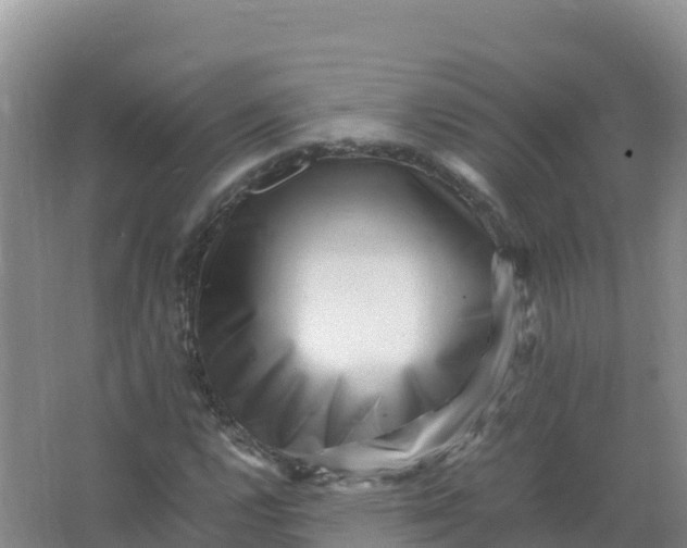 X0000066961112200604142108