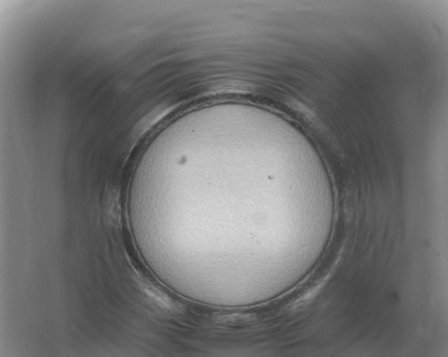 X0000066961113200604142108