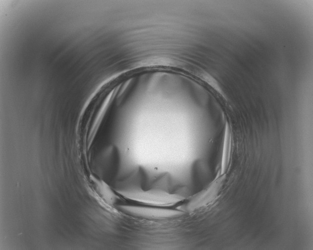 X0000066961116200604142108