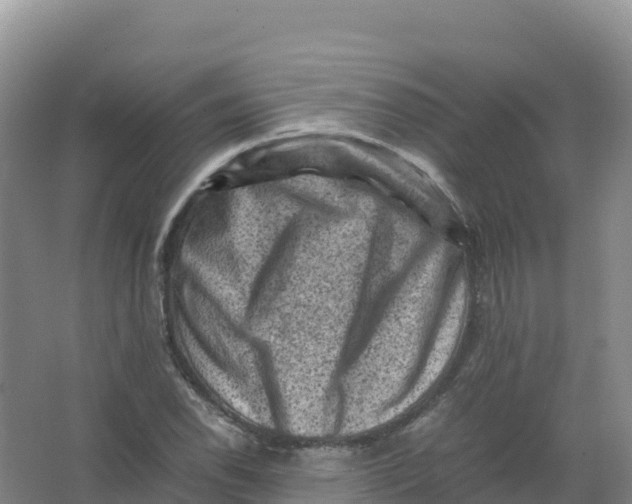 X0000066961118200604142108