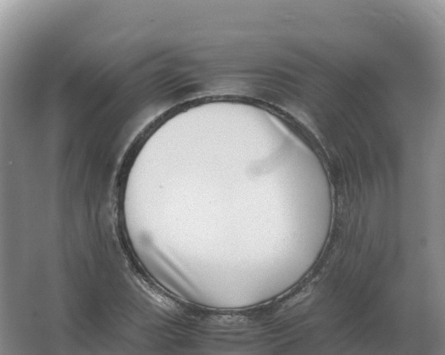 X0000066961119200604142108