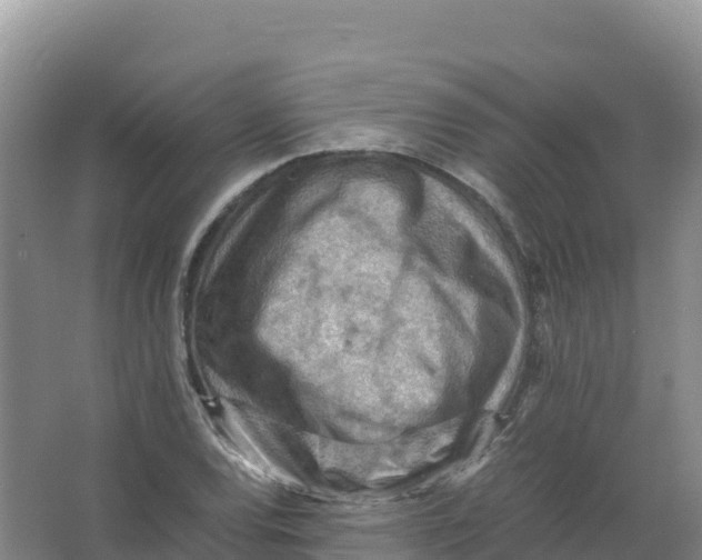 X0000066961120200604142108