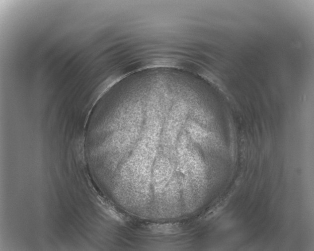 X0000066961121200604142108