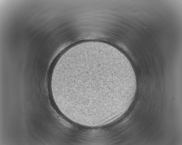 X0000066961122200604142108