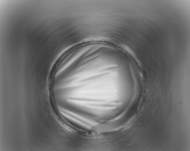 X0000066961124200604142108