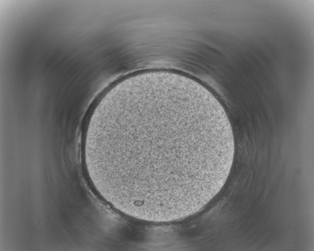 X0000066961126200604142108