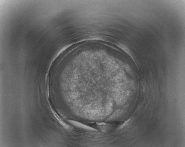 X0000066961127200604142108