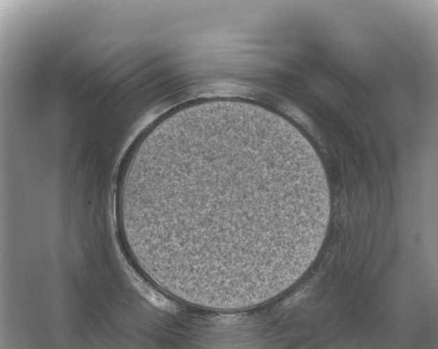 X0000066961130200604142108