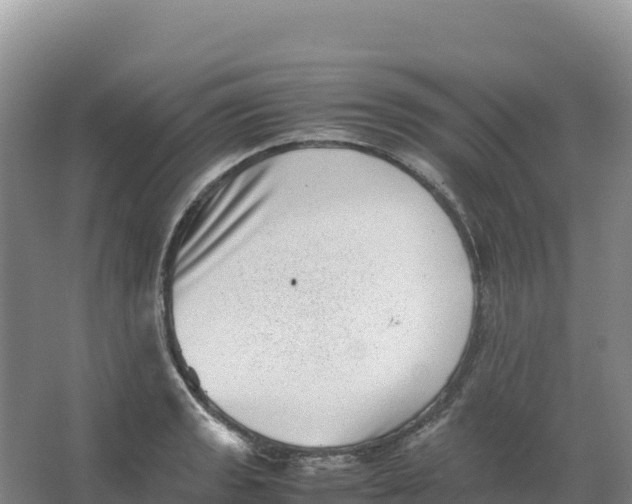 X0000066961133200604142108