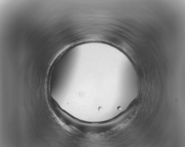 X0000066961134200604142108