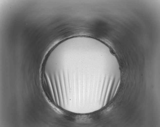 X0000066961135200604142108