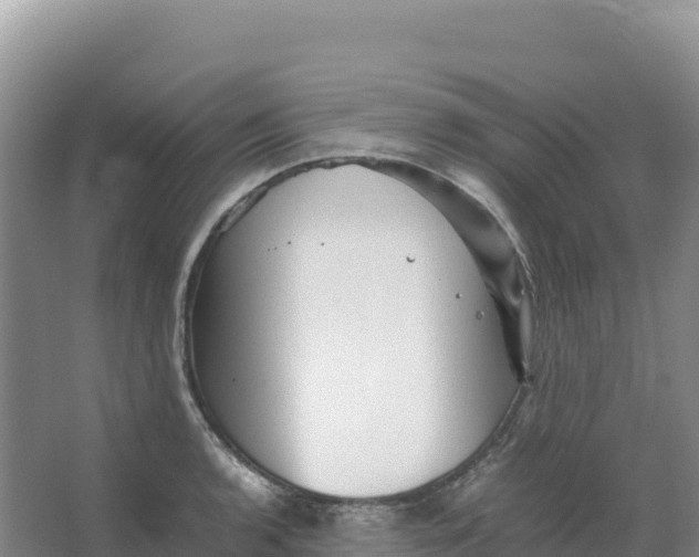 X0000066961136200604142108