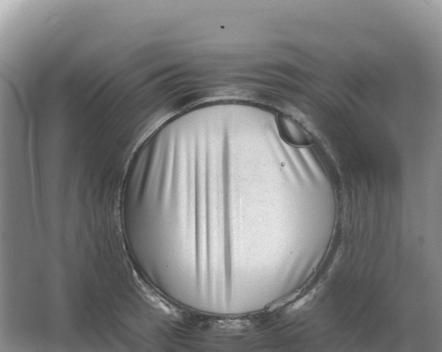 X0000066961137200604142108