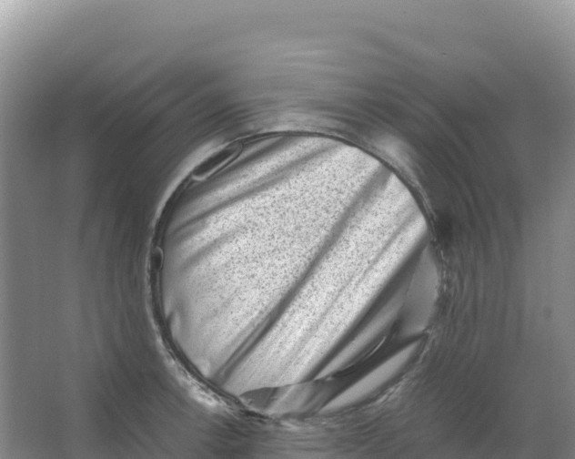 X0000066961138200604142108