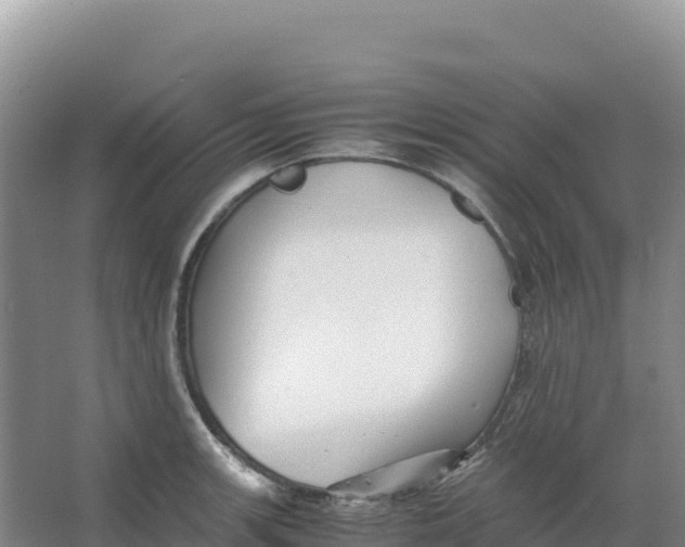 X0000066961139200604142108