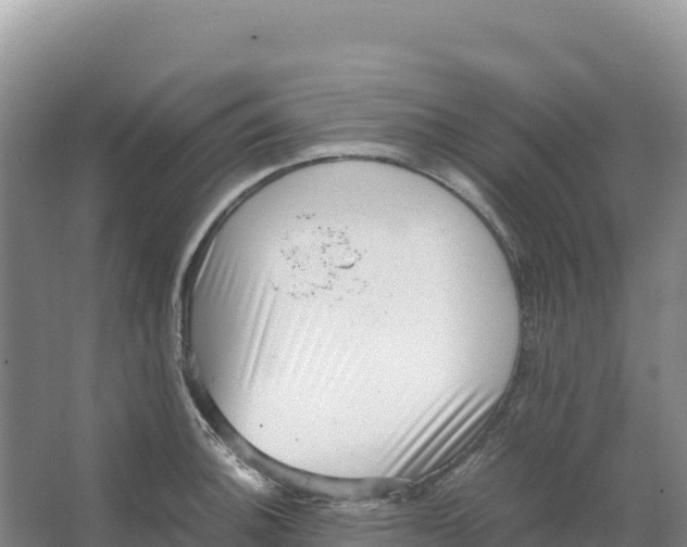 X0000066961140200604142108