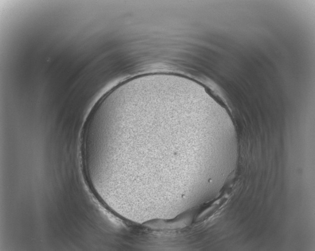 X0000066961142200604142108