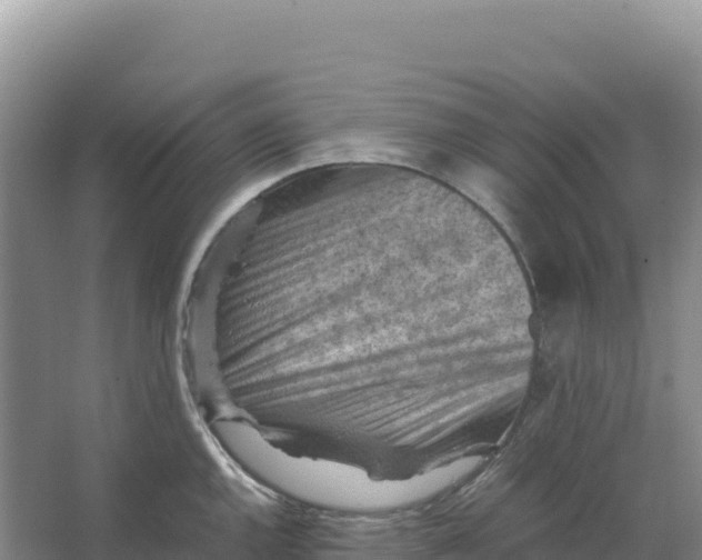 X0000066961144200604142108