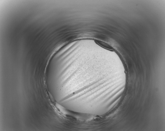 X0000066961145200604142108