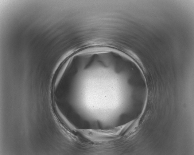 X0000066961146200604142108