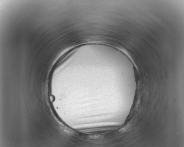 X0000066961147200604142108