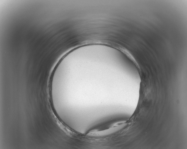 X0000066961148200604142108