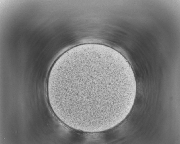 X0000066961150200604142108