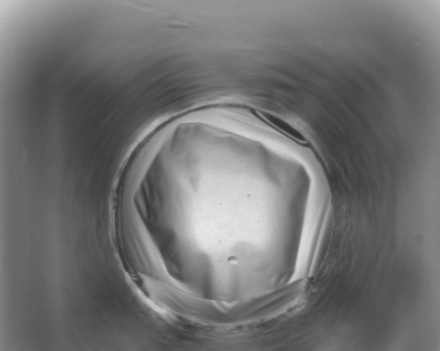 X0000066961151200604142108