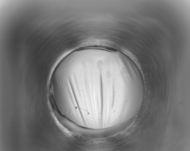 X0000066961152200604142108