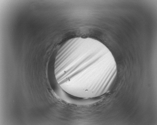 X0000066961153200604142108