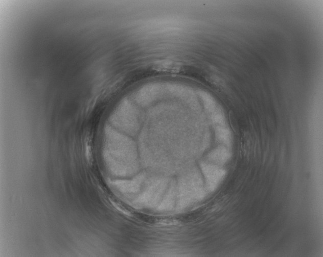 X0000066961154200604142108