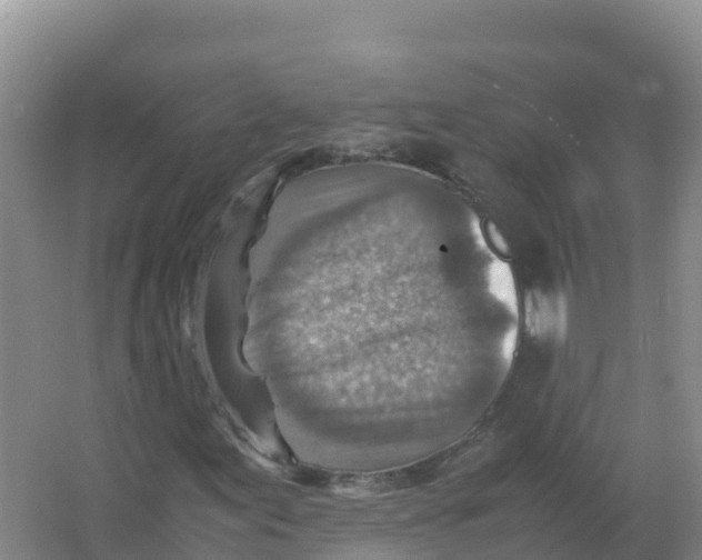 X0000066961155200604142108