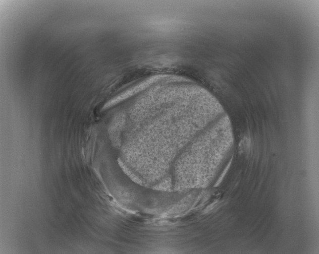 X0000066961156200604142108