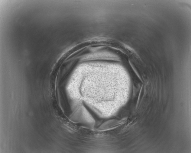 X0000066961160200604142108