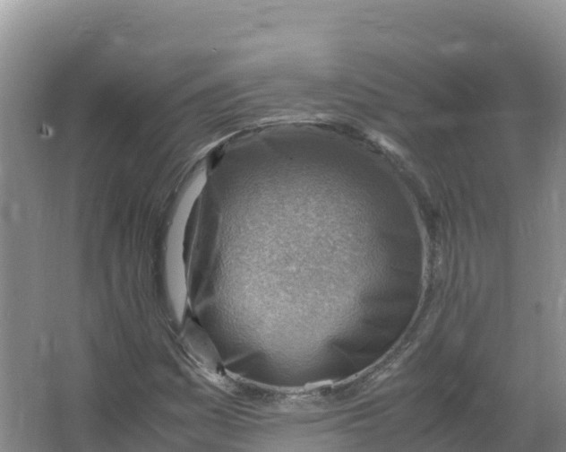 X0000066961161200604142108