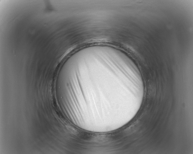 X0000066961162200604142107