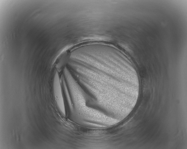 X0000066961163200604142107