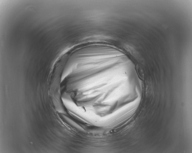 X0000066961164200604142107