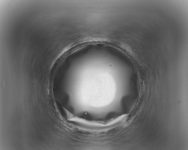 X0000066961165200604142107