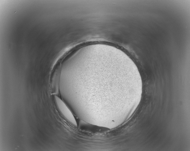 X0000066961167200604142107