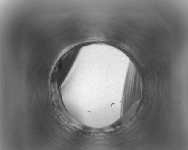 X0000066961168200604142107