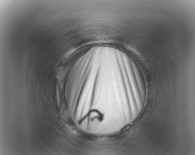 X0000066961169200604142107